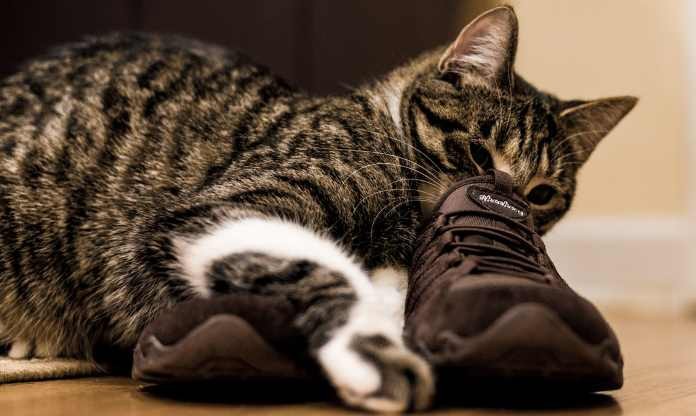 7 astuces 3 7 astuces 3