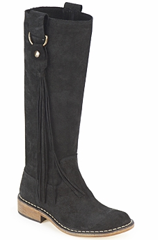 armistice camel