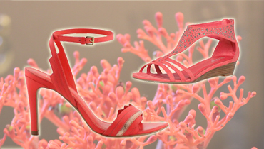 chaussures corail