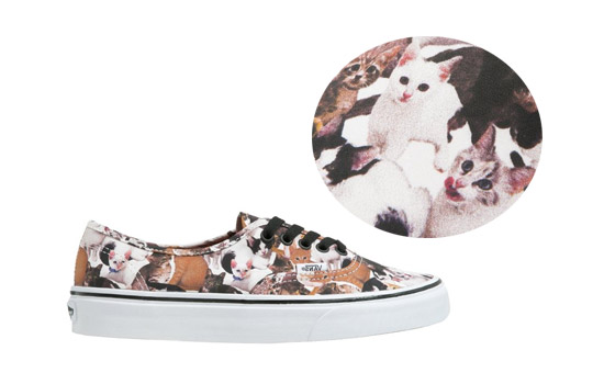 Baskets-Vans-chat-2015